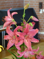 Foto: Dr. Peter Müller